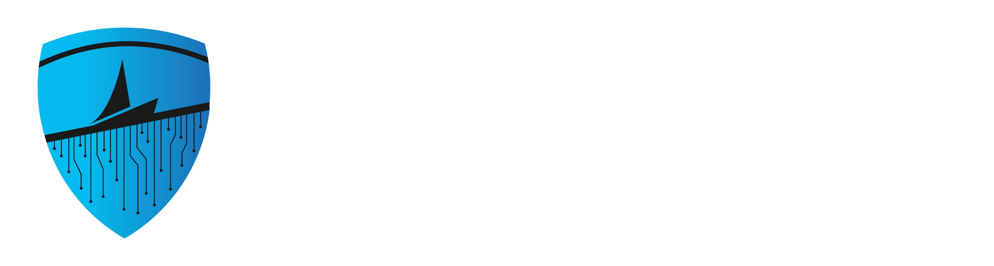 SecurityBoat